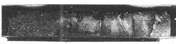 1523239886671267.jpg 2.jpg