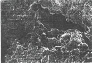 1523239923315412.jpg 6.jpg