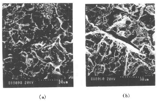 1523239945426080.jpg 9.jpg