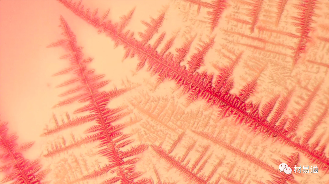 1529460007138023.jpg 1.jpg