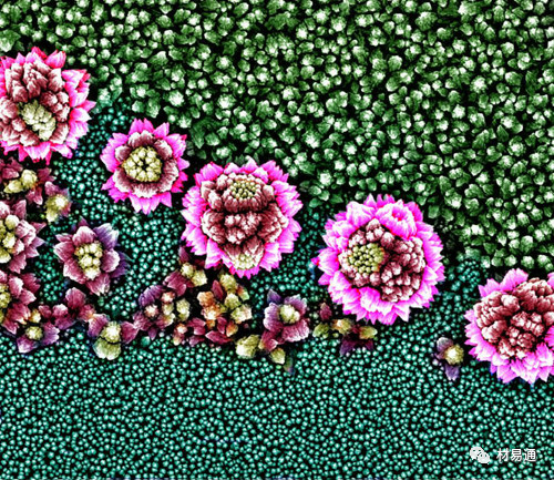 1529460104980462.jpg 6.jpg