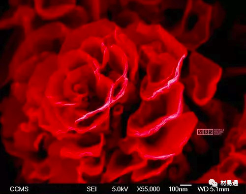 1529460115566122.jpg 8.jpg