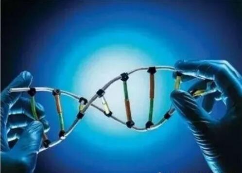 材料界新寵無機(jī)非金屬（3）