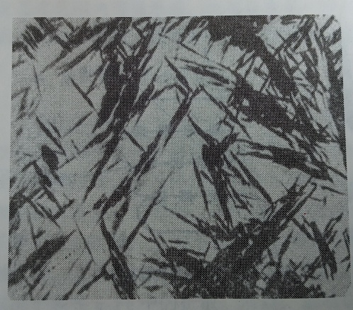 1665629578417768.png 5144.png